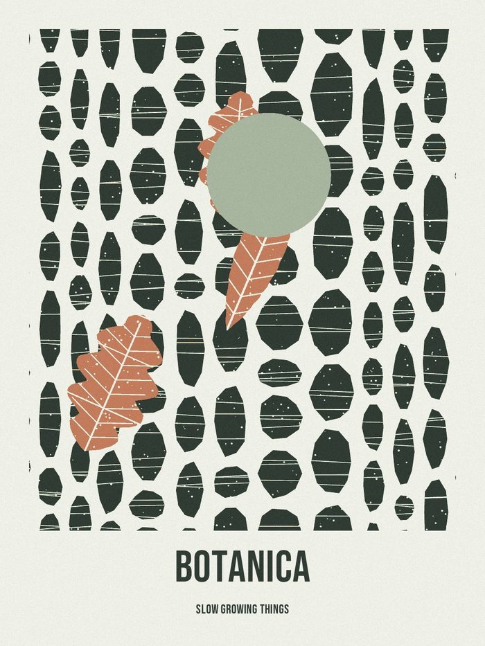 Botanica poster